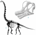 Brachiosaurus