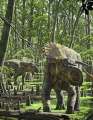 Nasutoceratops titusi, © Raul Martin